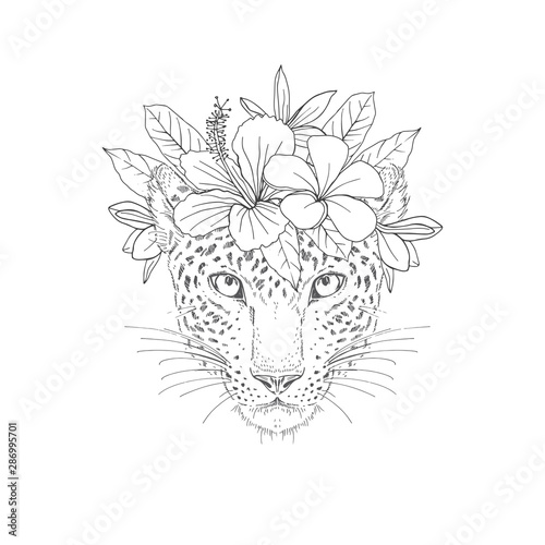 Download Cheetah With Floral Wreath Hand Drawn Sketch Wild Feline Animal Face With Exotic Flowers On Head Black Ink Illustration Spotted Panther Portrait Engraving Coloring Book Postcard Design Element Stock Vector Adobe