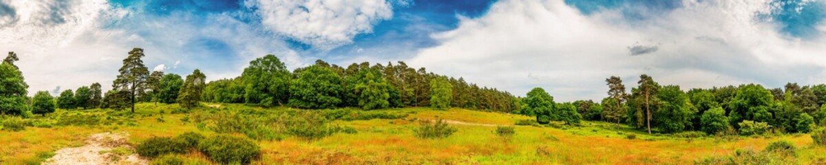Poster - Panorama einer Landschaft mit weitem Grasland und Wäldern im Hintergrund