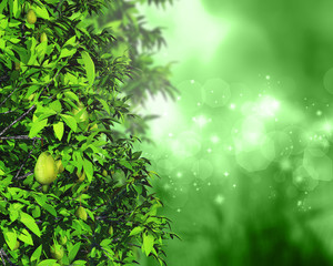 Wall Mural - 3D leaves and fruit on a defocussed background with bokeh lights and stars