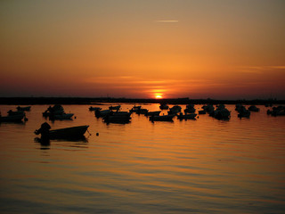 Wall Mural - Pôr de sol na Ria Formosa