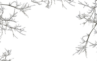 Wall Mural - twigs tree covered snow on a white background with space for text