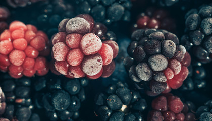 Poster - Close up fresh frozen blackberry background. Macro view.