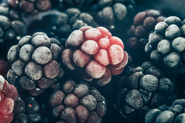 Poster - Close up fresh frozen blackberry background. Macro view.