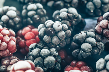Poster - Close up fresh frozen blackberry background. Macro view.