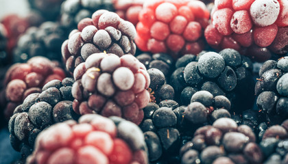 Poster - Close up fresh frozen blackberry background. Macro view.