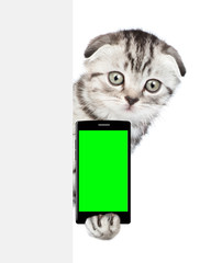 Poster - Tabby kitten holding smartphone in their paws behind empty white banner. Isolated on white background