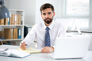 Wall Mural - Portrait of businessman working in an office