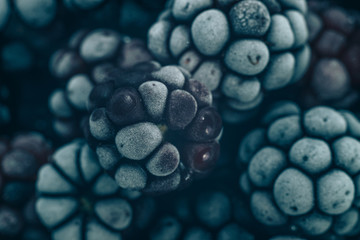 Poster - Close up fresh frozen blackberry background. Macro view.