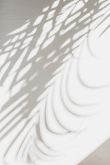 Wall Mural - Neutral floral composition with tropical palm branch silhouette. Flat lay, top view florist minimal exotic nature background.