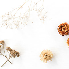 Wall Mural - Dry floral branch and buds on white background. Flat lay, top view minimal neutral flower composition.