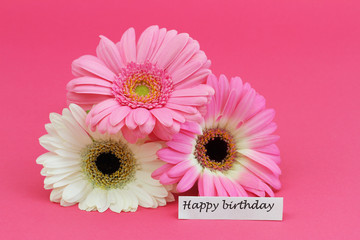 Poster - Happy birthday card with pink and white gerbera daisies on pink background