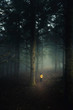 © ikostudio - Walking in a forest on a foggy morning