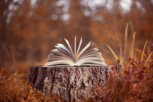 An Open Book Lies On A Stump In The Autumn Forest. Autumn Leafing Through Pages
