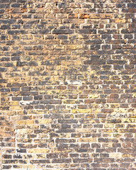 Wall Mural - part of very old medieval brick wall in old dutch town