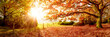 canvas print picture - Landschaft im Herbst mit Wald und Wiese bei strahlendem Sonnenschein