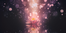 Meditation Abstract Background With Lotus Flowers