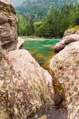 Wall Mural - river in the forest glacier national park