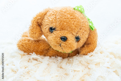 茶色い犬のぬいぐるみ Stock Photo Adobe Stock