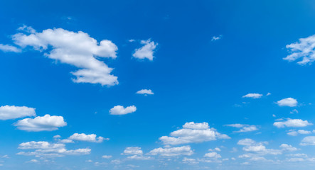 Wall Mural - White Clouds Floating in the Bright Blue Skies