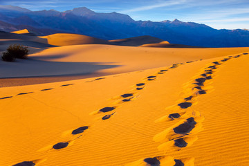 Wall Mural - Picturesque chains of footprints