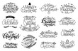 Merry christmas hand drawn lettering banner vector