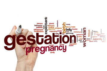 Wall Mural - Gestation word cloud