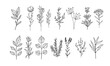 plant and floral lineart illustration for romatic decoration or stock of wedding print, flower vector bundle