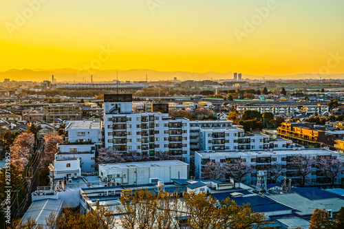 夕焼けに包まれる調布市の街並み Buy This Stock Photo And Explore Similar Images At Adobe Stock Adobe Stock