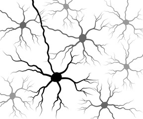 set black human neuron. neural network technology science medicine anatomy. vector illustration