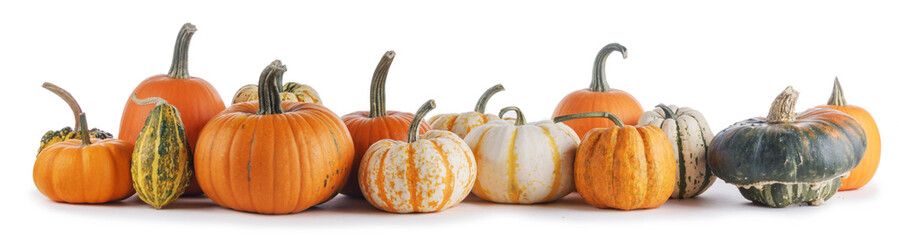 Assortiment of pumpkins on white