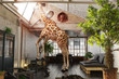 Giraffe steht in Wohnung auf Holzbank und schaut aus dem Dachfenster