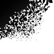 background explosion with debris. Isolated black illustration