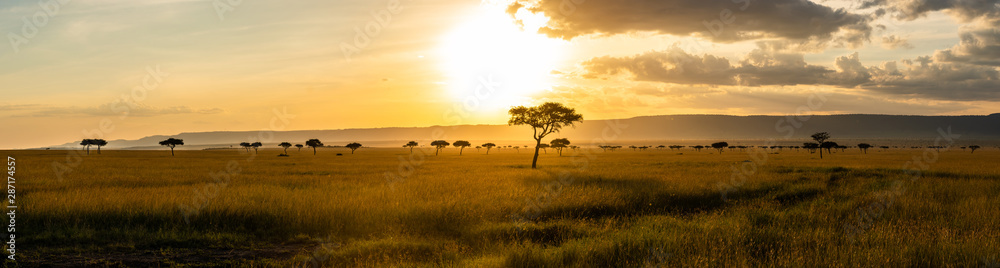 A panoramic view on the Masai Mara while sunset - obrazy, fototapety, plakaty 