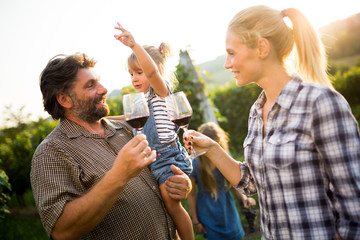 Wall Mural - Winemaker family together in vineyard tasting vine