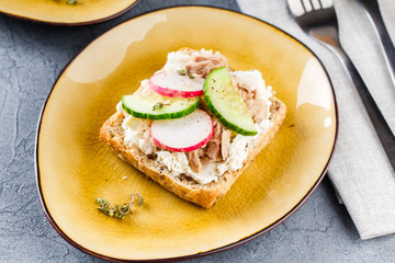 Wall Mural - Delicious tuna sandwich, served with radish and cucumber