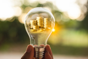 Wall Mural - Hand holding a light bulb and stack of coins inside for saving money concept. Symbol of investment or planning of tax with natural light bokeh