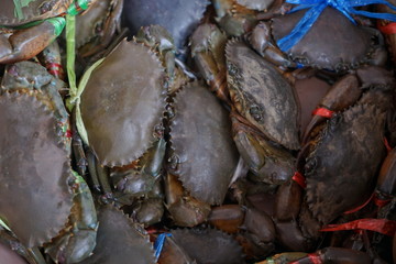 Canvas Print - crabs in market