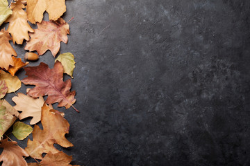 Wall Mural - Autumn background