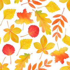 Wall Mural - Beautiful seamless pattern of yellow and red autumn leaves. 