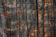 texture of an old charred wood. scorched surface. the background