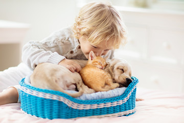 Child, dog and cat. Kids play with puppy, kitten.