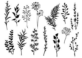 Wall Mural - Set of black meadow herbs, branch and leaves. Design floral elements. Vector illustration.