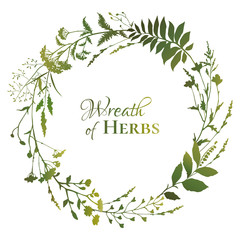 Wall Mural - Round floral frame with green silhouettes of meadow herbs on white background. Herbal wreath. Decorative wreath. Wild grass. Vector illustration.