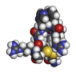 Setmelanotide drug molecule (MC4 receptor agonist). 3D rendering. Atoms are represented as spheres with conventional color coding: hydrogen (white), carbon (grey), nitrogen (blue), etc