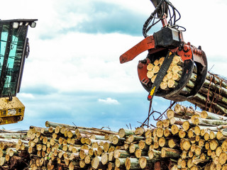 Wall Mural - Log Loader