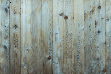 Wall Mural - background texture of vertical wooden board fences