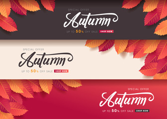 Autumn leaves background. Seasonal lettering.vector illustration.Promotion sale banner of autumn season.