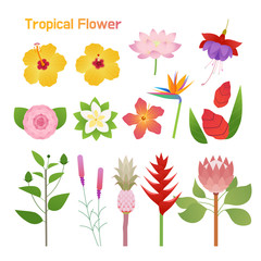 Wall Mural - Tropical flower single set design. flat design style minimal vector illustration.