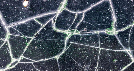 Poster - marble texture closeup, seamless pattern