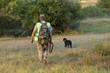 © Mountains Hunter - Hunting period, autumn season open. A hunter with a gun in his hands in hunting clothes in the autumn forest in search of a trophy. A man stands with weapons and hunting dogs tracking down the game.